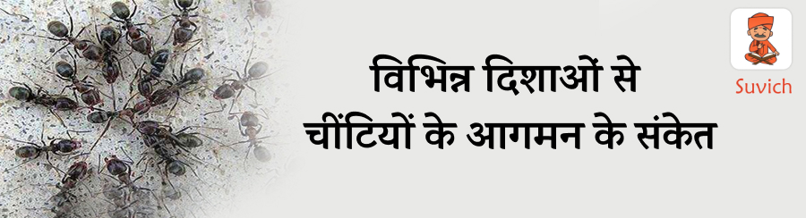 दिशाओं से चींटियों के संकेत 